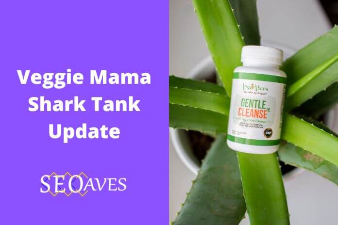 Veggie Mama Shark Tank Update | Veggie Mama Net Worth