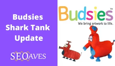 Budsies Shark Tank Update
