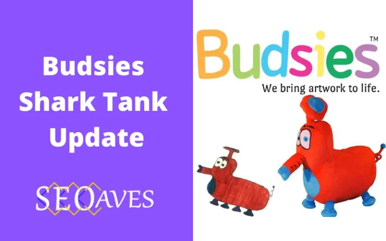 Budsies Shark Tank Update