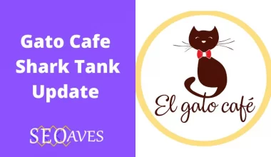 Gato Cafe Shark Tank Update