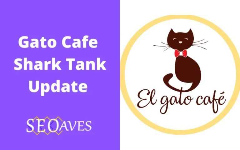 Gato Cafe Shark Tank Update