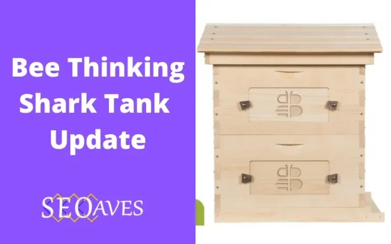 Bee Thinking Shark Tank Update