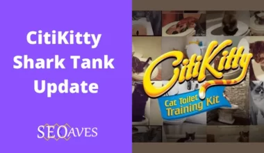 CitiKitty Shark Tank Update