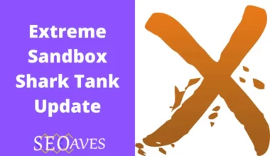 Extreme Sandbox Shark Tank Update