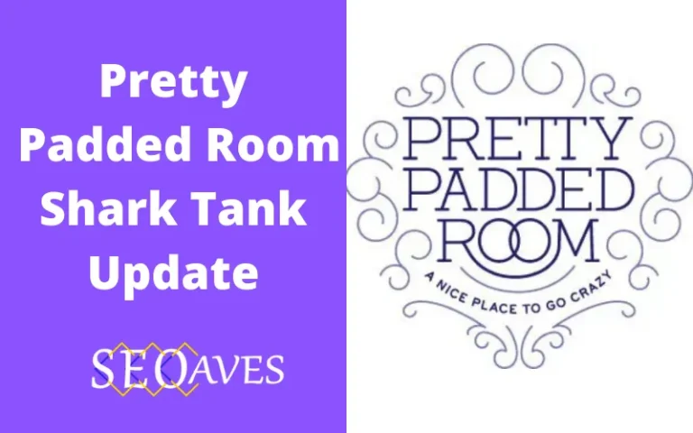 Pretty Padded Room Shark Tank Update