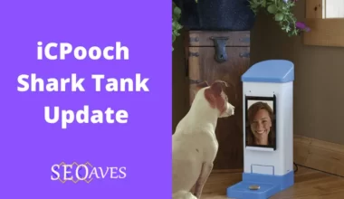 iCPooch Shark Tank Update