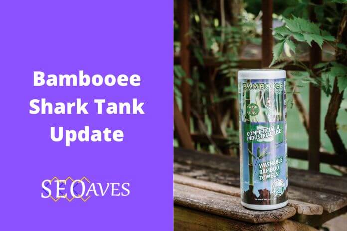 Bambooee Shark Tank Update | Bambooee Net Worth