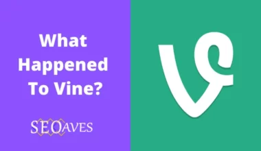 Why Did Vine Shut Down