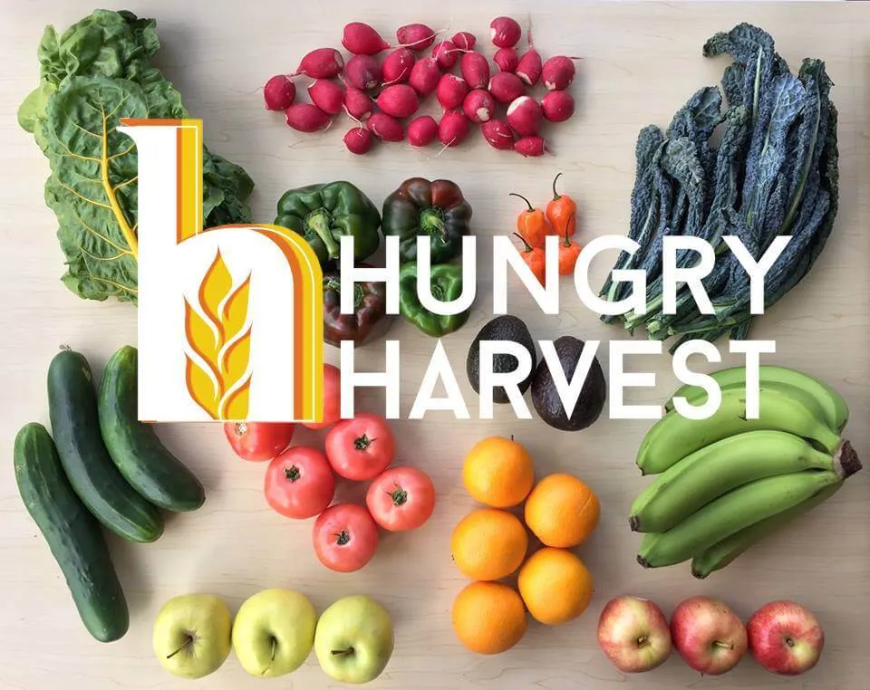 Hungry Harvest Shark Tank Net Worth