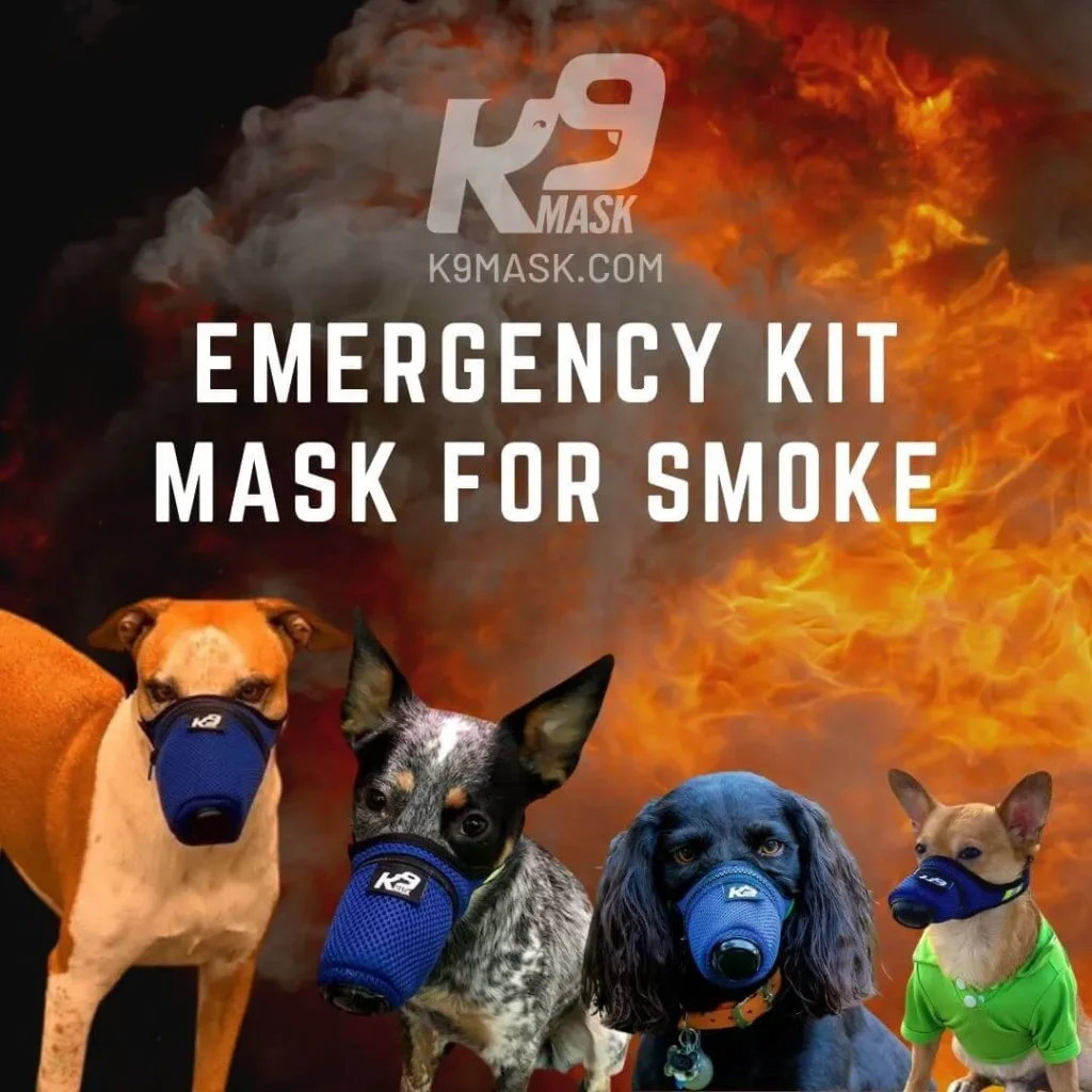 K9 Mask Shark Tank Update