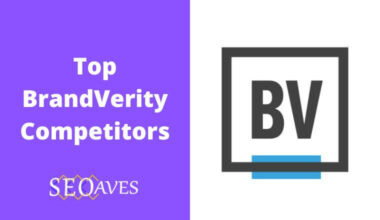 BrandVerity Competitors and Alternatives Analysis