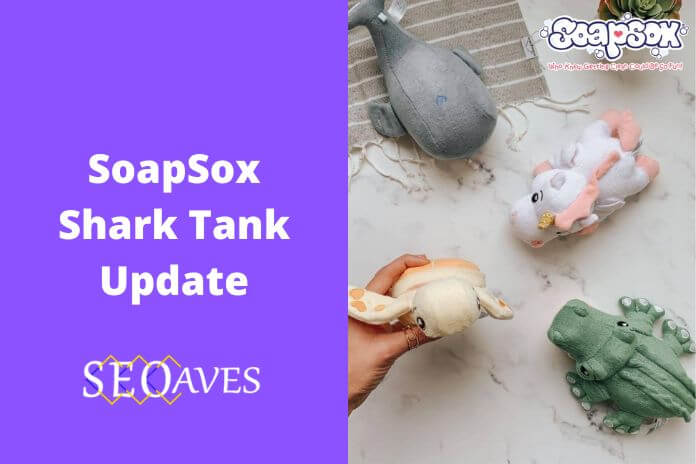 SoapSox Shark Tank Update | SoapSox Net Worth