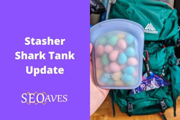 Stasher Shark Tank Update | Stasher Net Worth