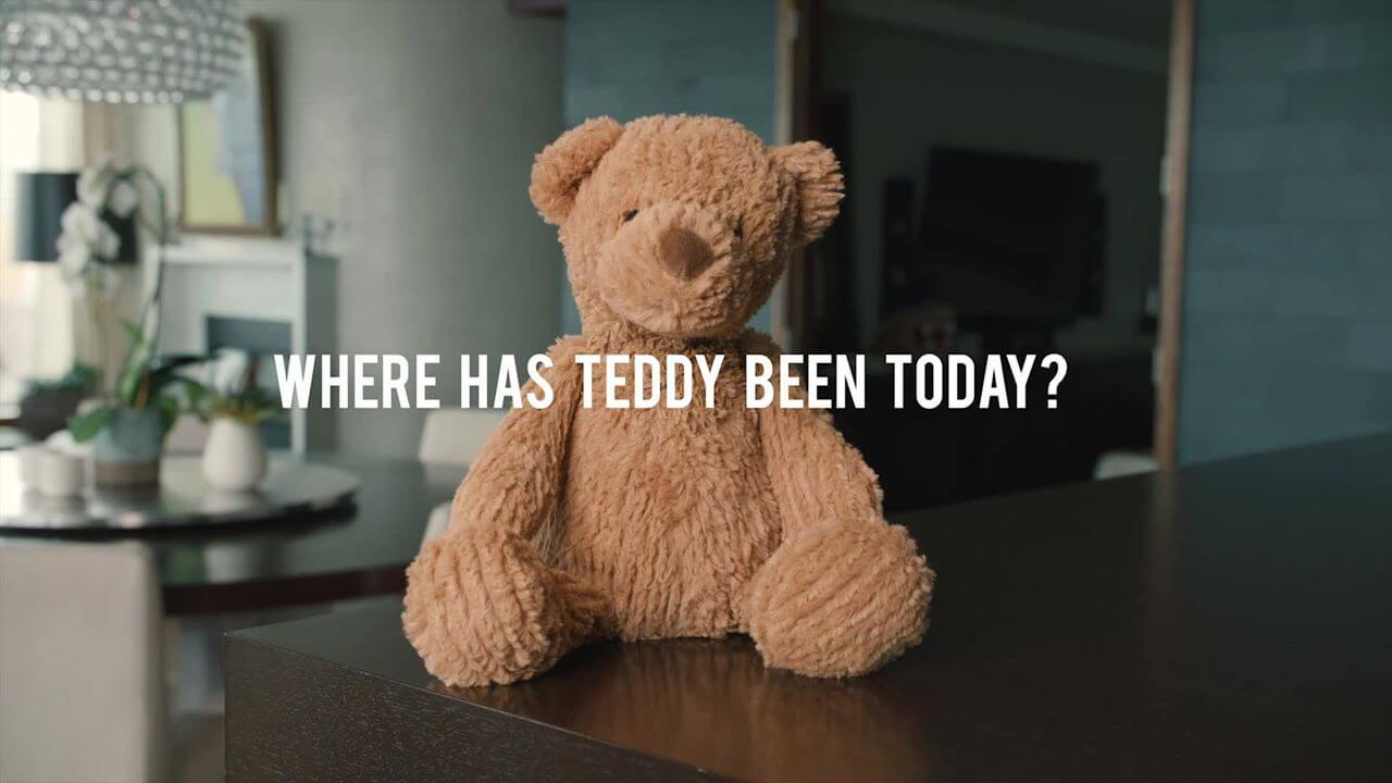 teddy