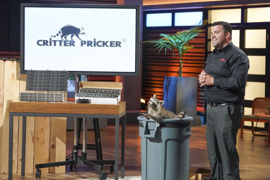Critter Pricker Update: Shark Tank Deal, Founder Update, & Competitors