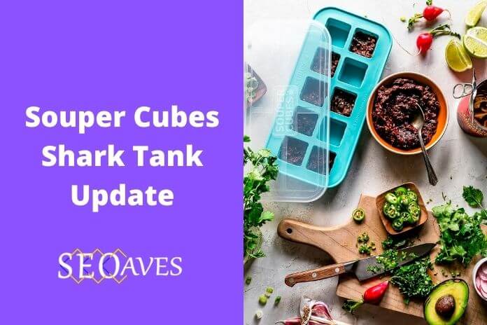 Souper Cubes Shark Tank Update | Souper Cubes Net Worth