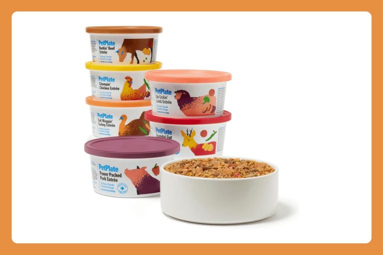 PetPlate Review & Shark Tank Update: Funding, Products, and Net Worth
