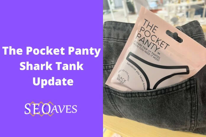 The Pocket Panty Shark Tank Update | The Pocket Panty Net Worth