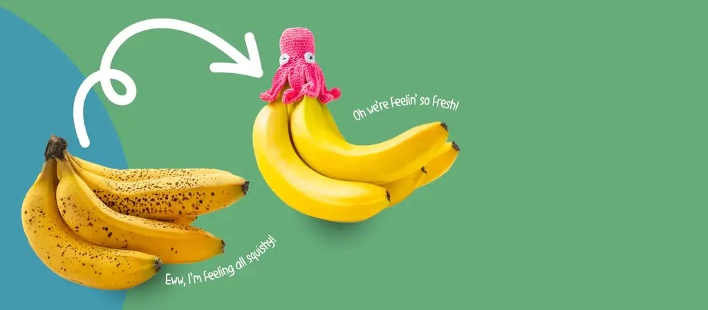 Nana Hats Shark Tank Update: The $1 Million Banana Empire