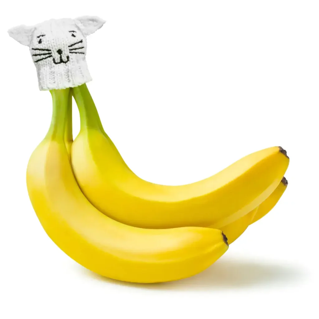 Nana Hats Shark Tank Update: The $1 Million Banana Empire