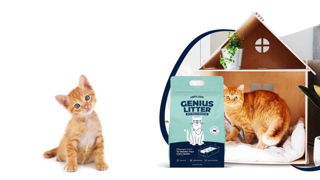 The Success Story of Genius Litter After Shark Tank: A Game-Changing Journey from Shark Tank to Industry Triumph