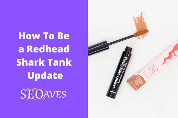 How To Be a Redhead Shark Tank Net Worth