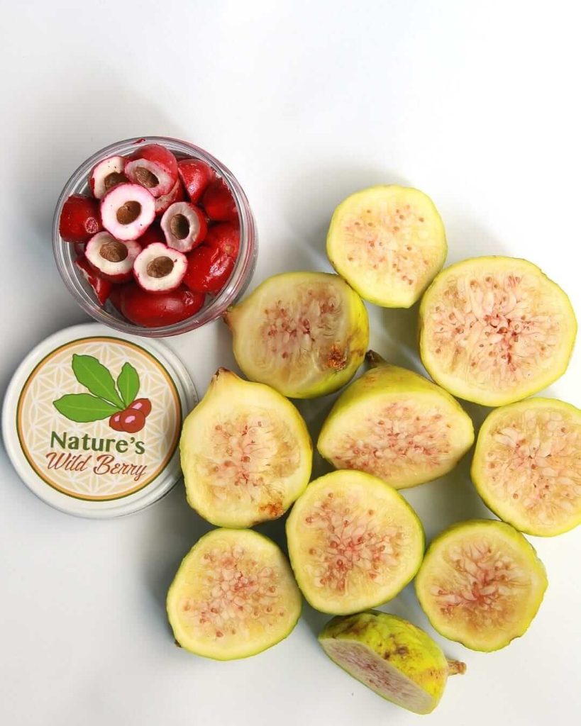 Nature’s Wild Berry Shark Tank Net Worth