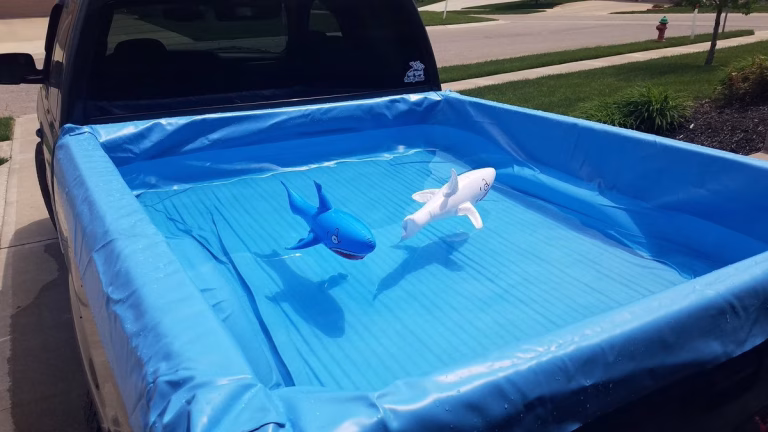 Did Pick-Up Pools Go Out of Business? Shark Tank Fact Check