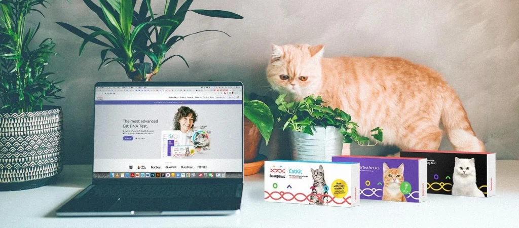 Basepaws After Shark Tank Pitch: Net Worth & Zoetis Acquisition