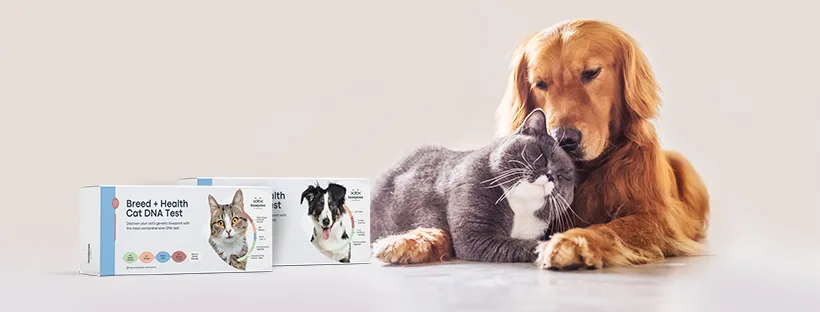 Basepaws After Shark Tank Pitch: Net Worth & Zoetis Acquisition