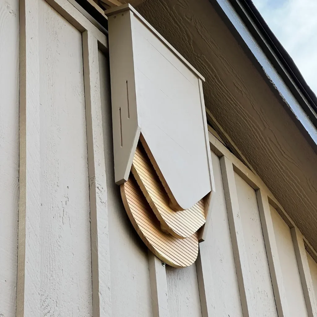 BatBnB Shark Tank: From Bat Houses to Millionaire Status