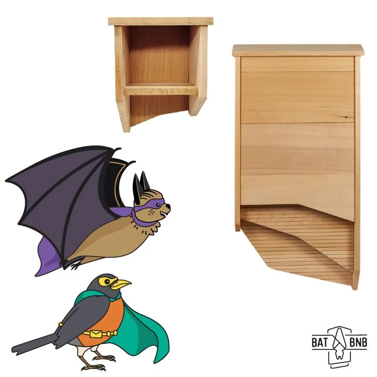 BatBnB Shark Tank: From Bat Houses to Millionaire Status