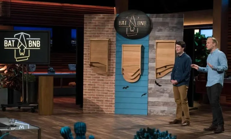 BatBnB Shark Tank: From Bat Houses to Millionaire Status