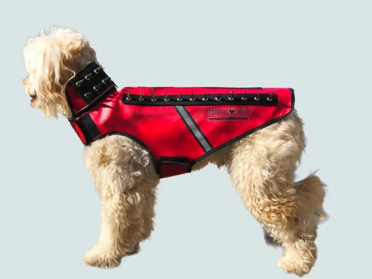 CoyoteVest Update: Lifetime Sales Soar Without A Shark